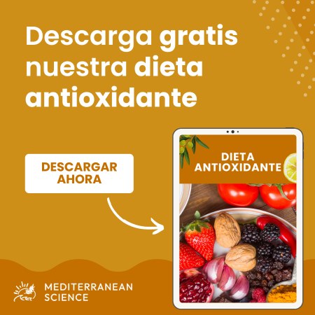 Banner con botón para descargar la dieta antioxidante