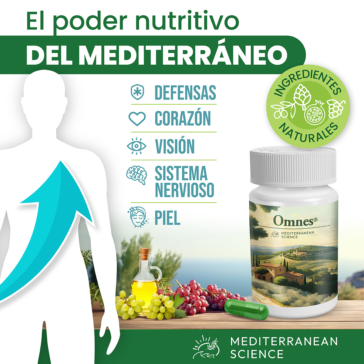 El poder nutritivo del mediterráneo