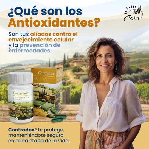 ¿Qué son los Antioxidantes?